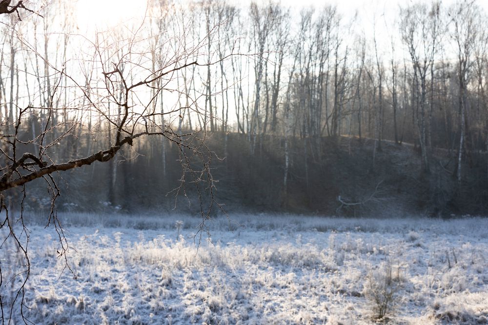 Photograph by Александр Чернов