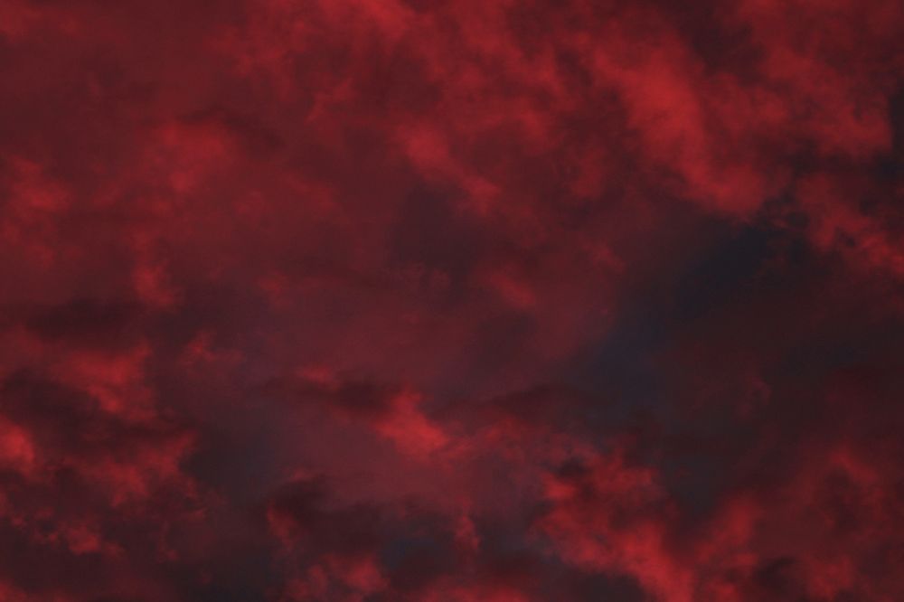 Photograph by Pablo López-Rojas