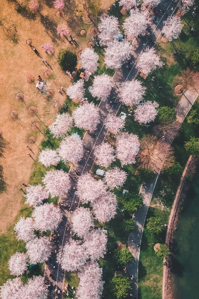 Photograph by Lv Jade