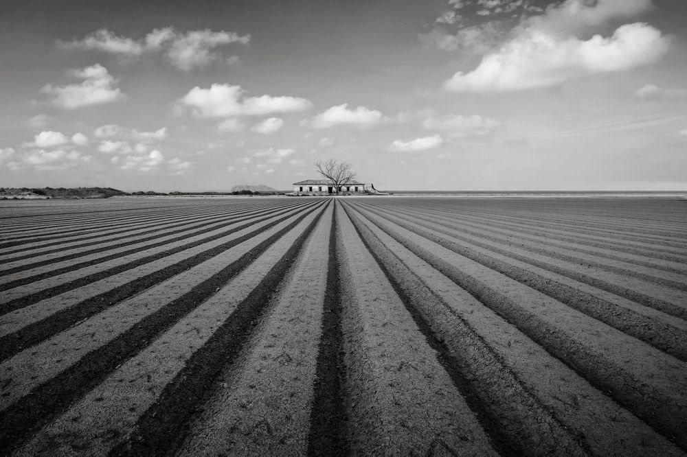 Photograph by Марина Ческис