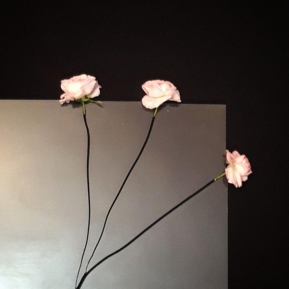 Photograph by Наталья Пусулиди