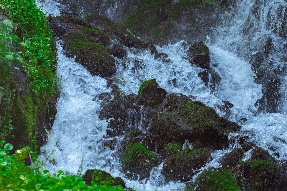 Photograph by Михаил Гулика