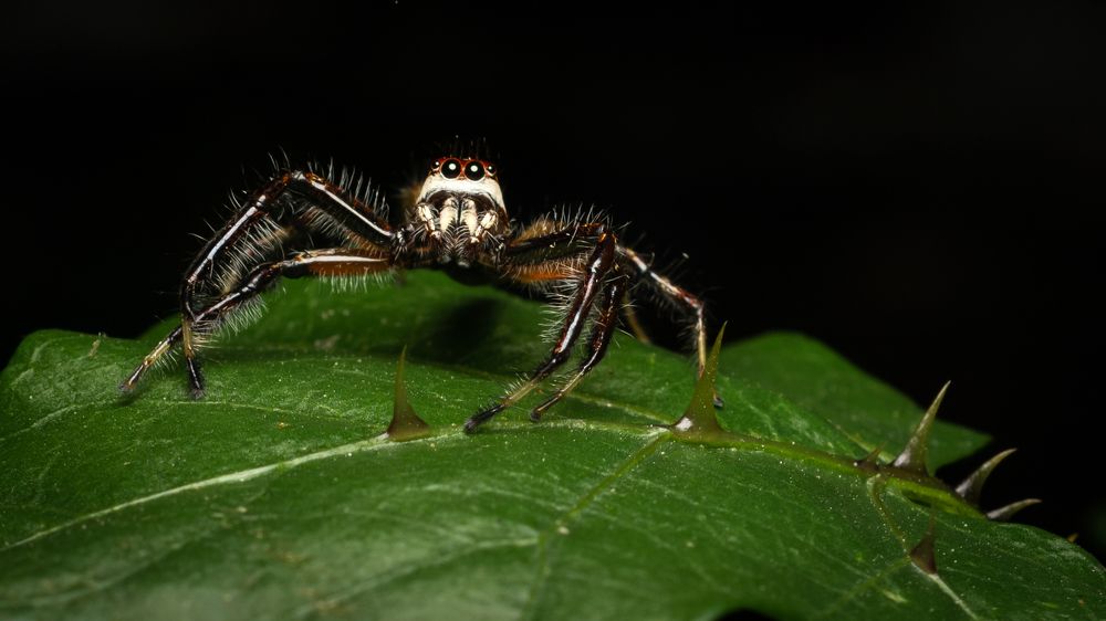 Photograph by SHUBHENDU BANERJEE