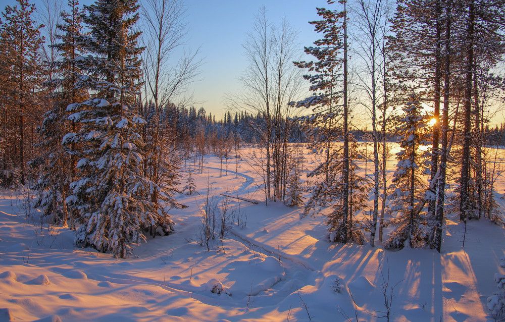 Photograph by Александр Трифанов