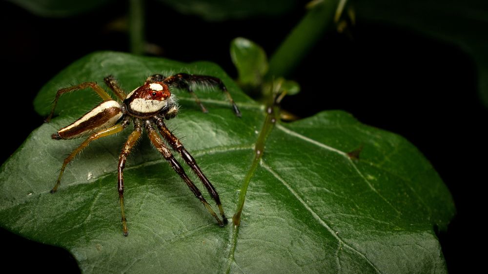 Photograph by SHUBHENDU BANERJEE