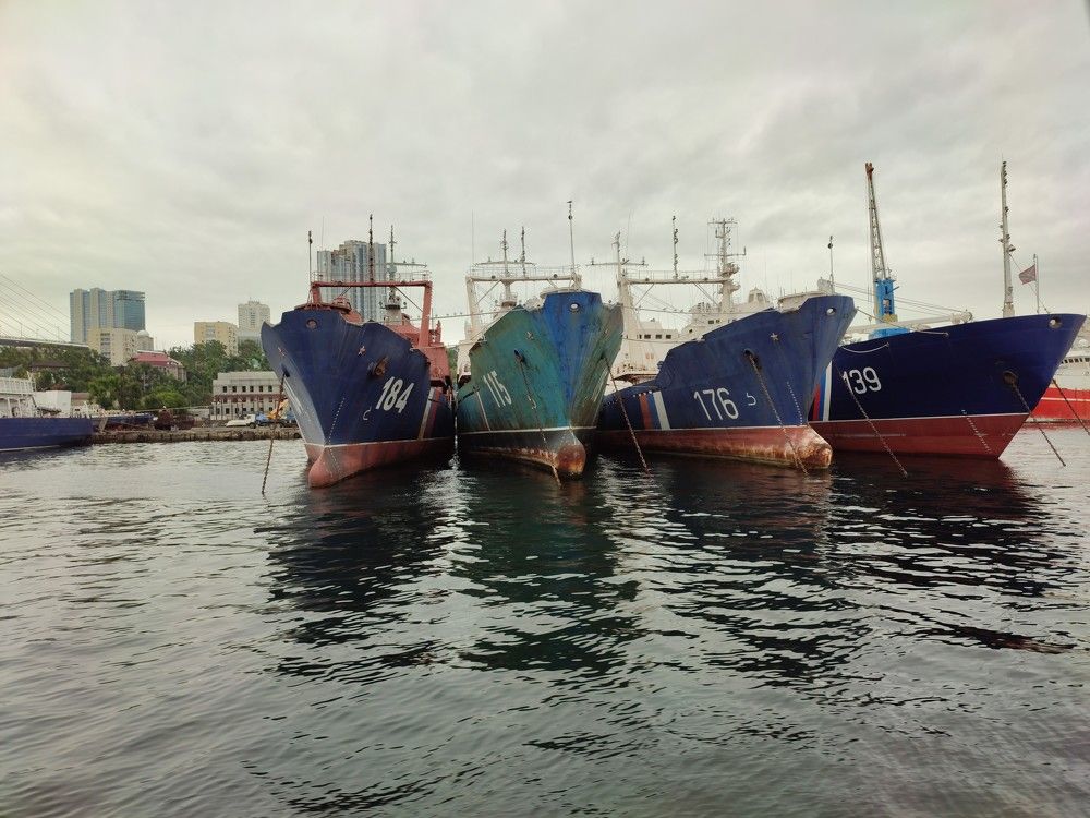 Photograph by Людмила Воропаева