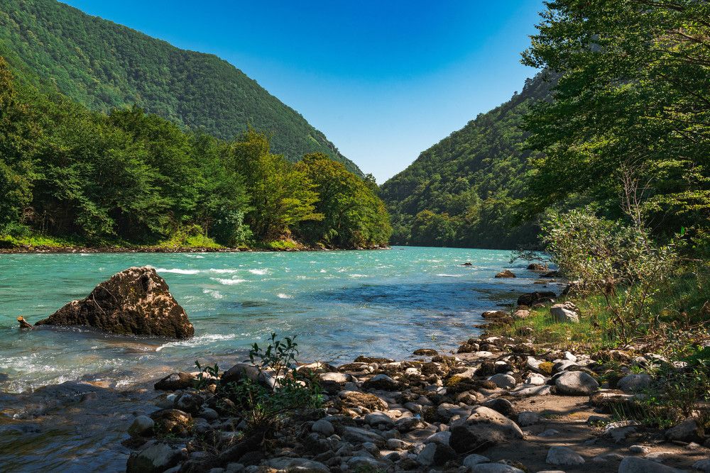 Photograph by Михаил Гулика