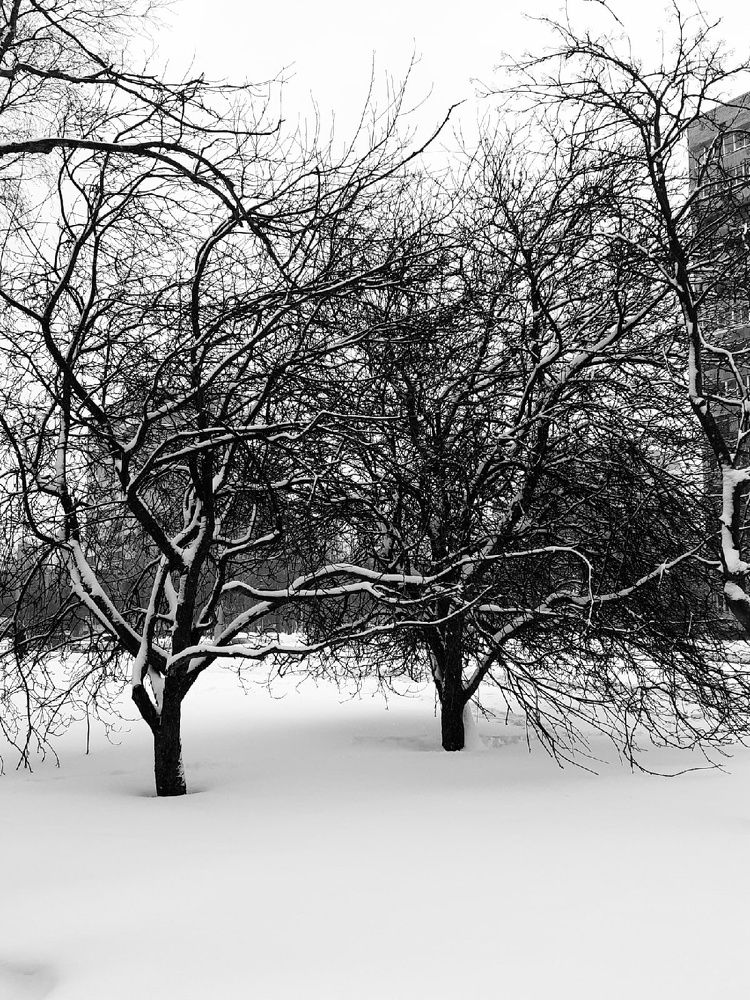 Photograph by Евгения Ульянова