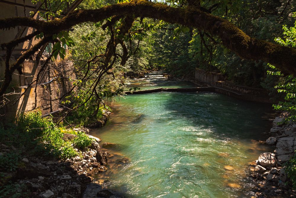 Photograph by Михаил Гулика