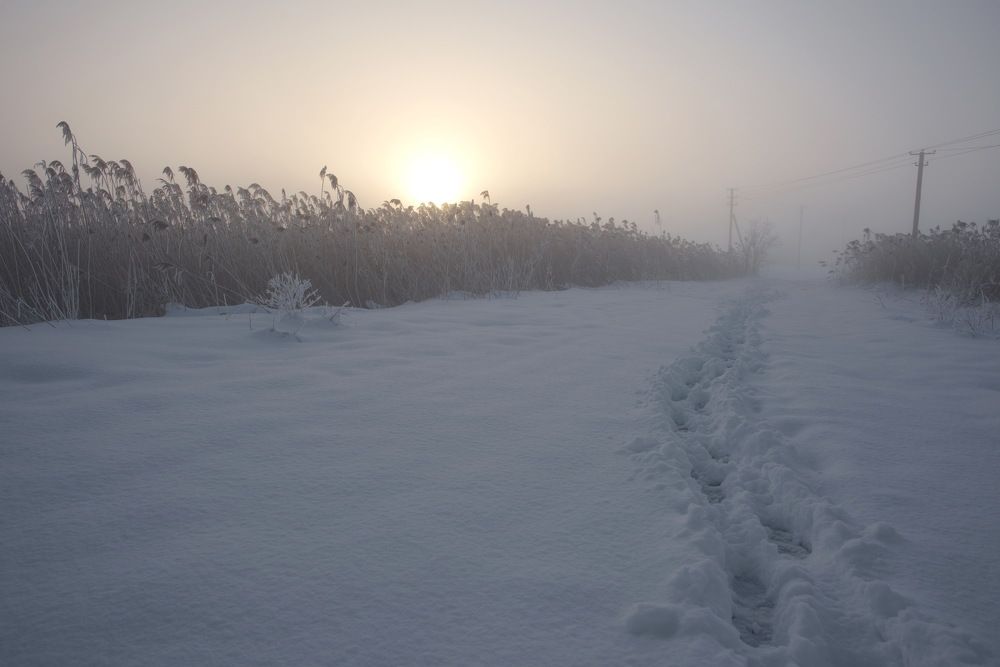 Фотография автора Медведев Сергей