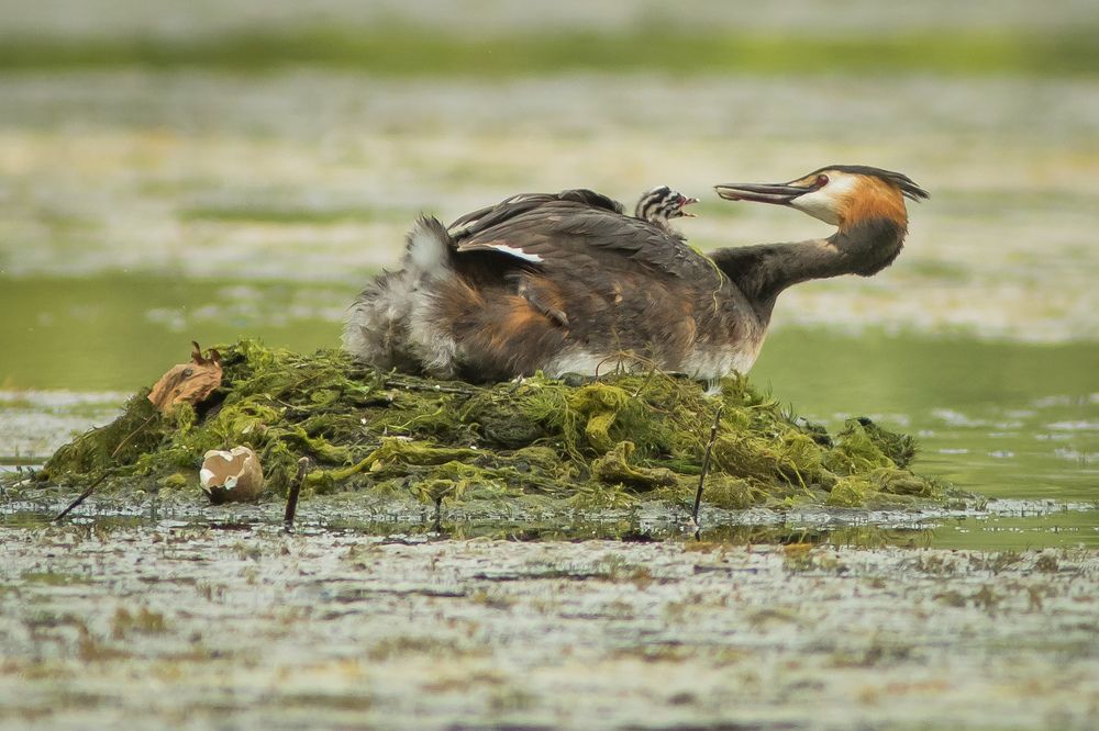 Фотография автора Суслов Дмитрий