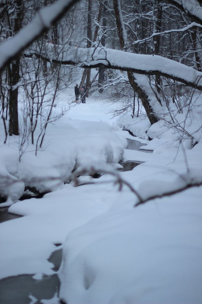 Photograph by Alyona Pravel’eva