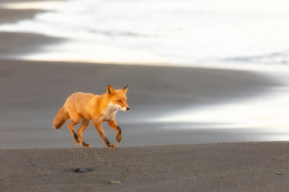 Photograph by Щипкова Елена