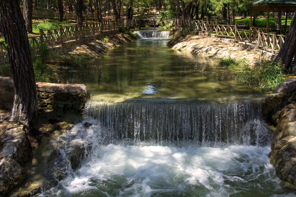 Photograph by Olga Min