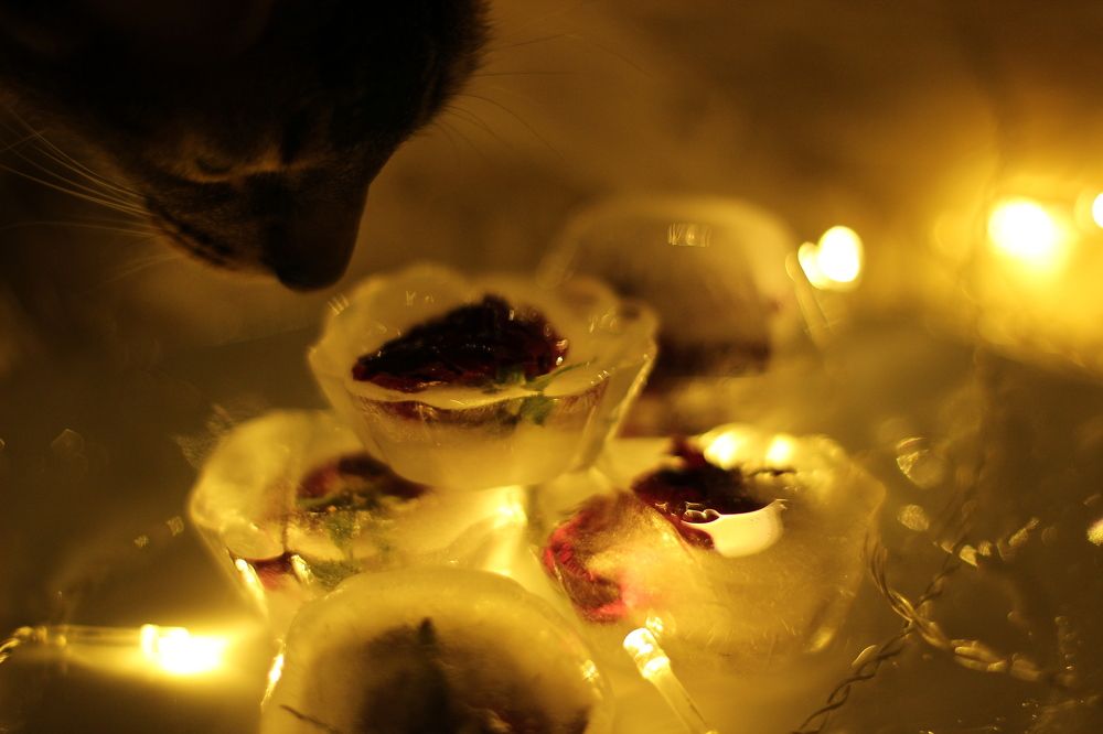 цветы во льду