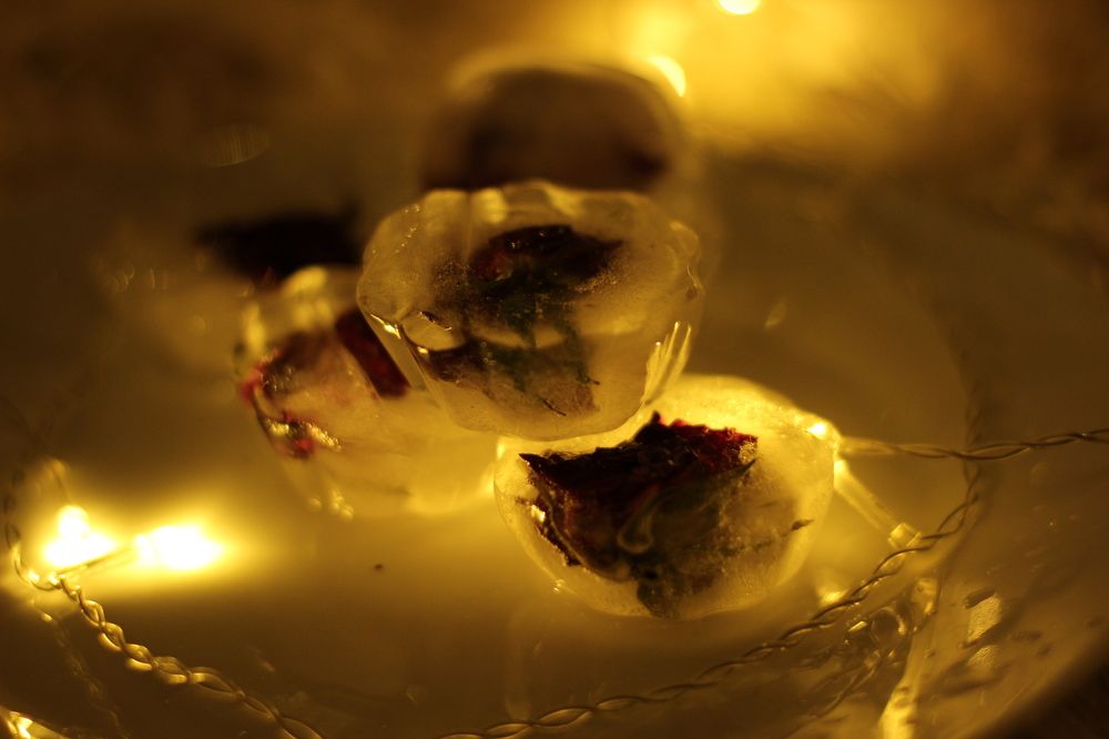 цветы во льду