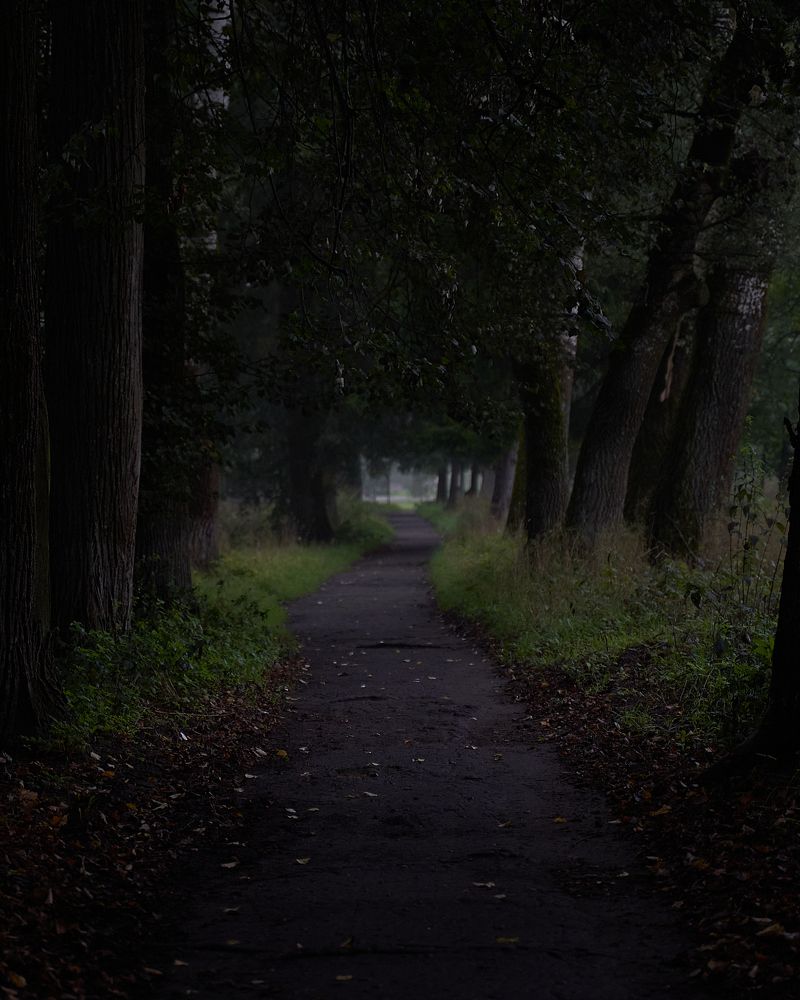 Фотография автора Александр Османов