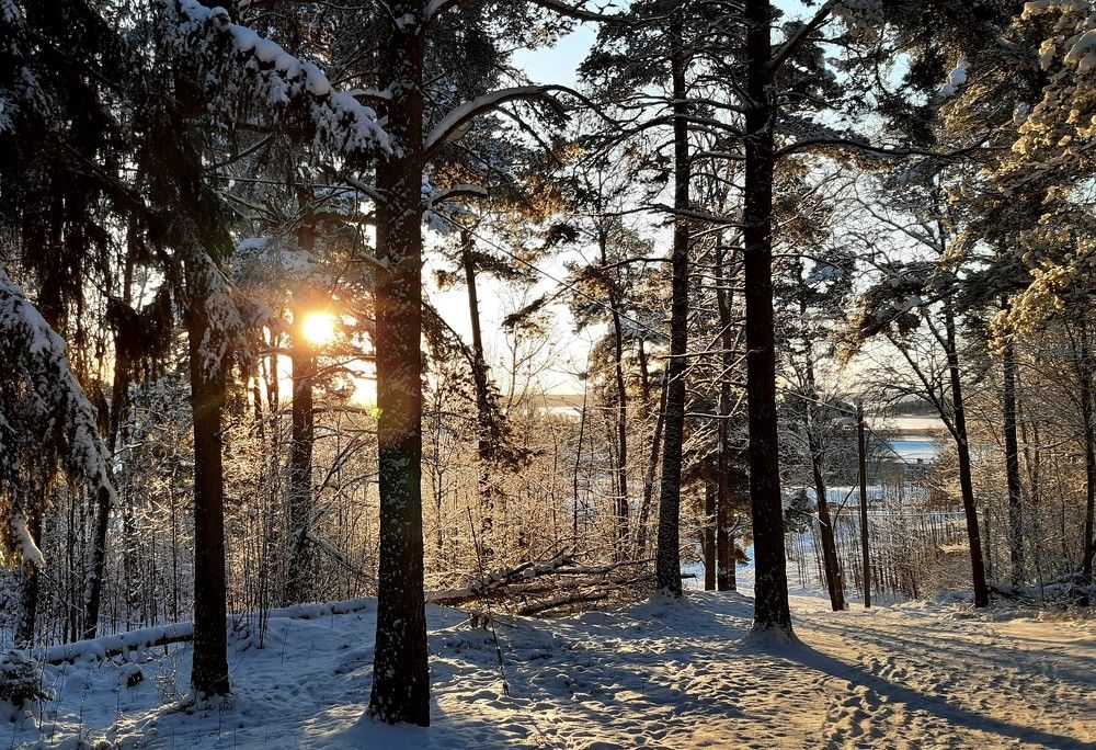 Photograph by Svetlana Jegorova