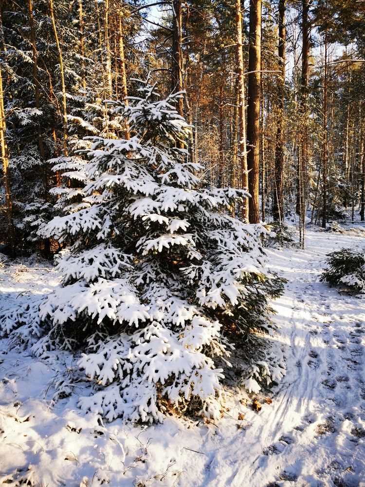 Photograph by Svetlana Jegorova