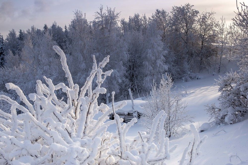 Снежная зима