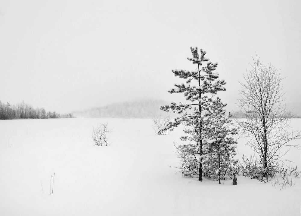 Photograph by Ольга Якшина