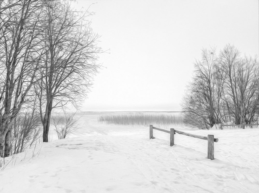 Photograph by Ольга Якшина