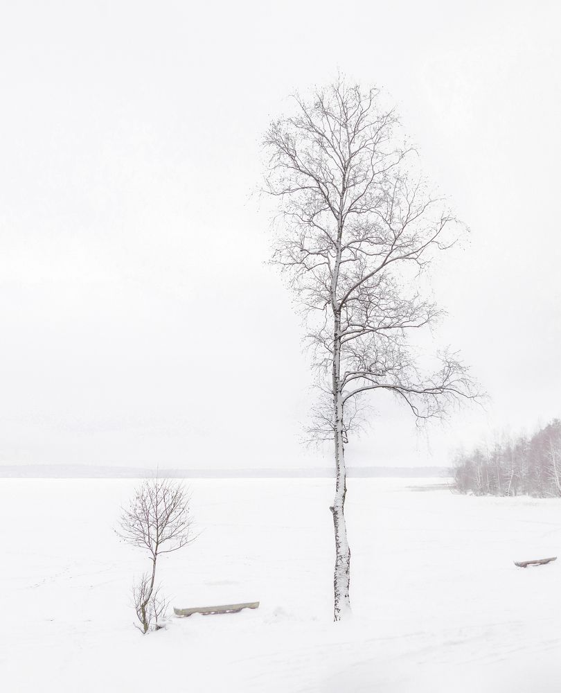 Photograph by Ольга Якшина