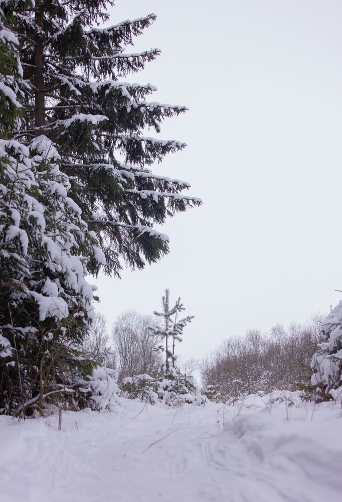 Photograph by Татьяна Казакова