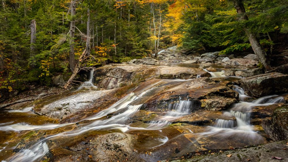 Photograph by Vyacheslav Shausmanov