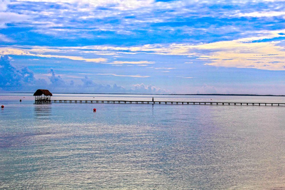 Photograph by William Mazuera