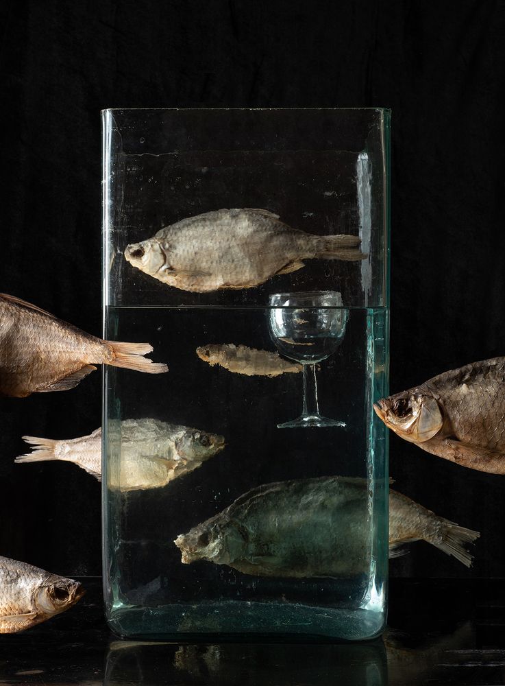 Жажда сухих рыб.