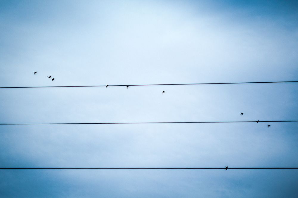 Photograph by Алена Кайбышева