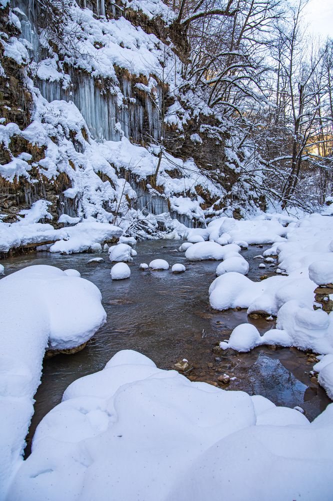 Photograph by Светлана Чужданова