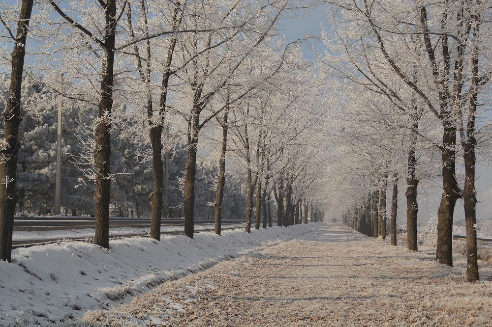 Photograph by Наталья Адодина