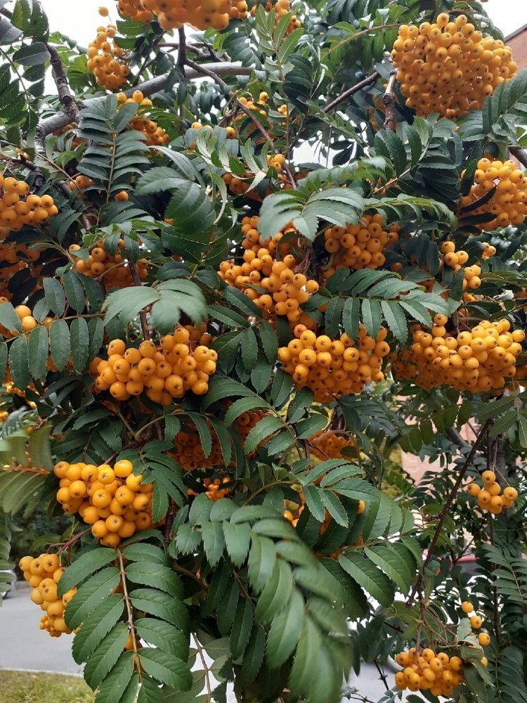 Photograph by Евгения Ульянова