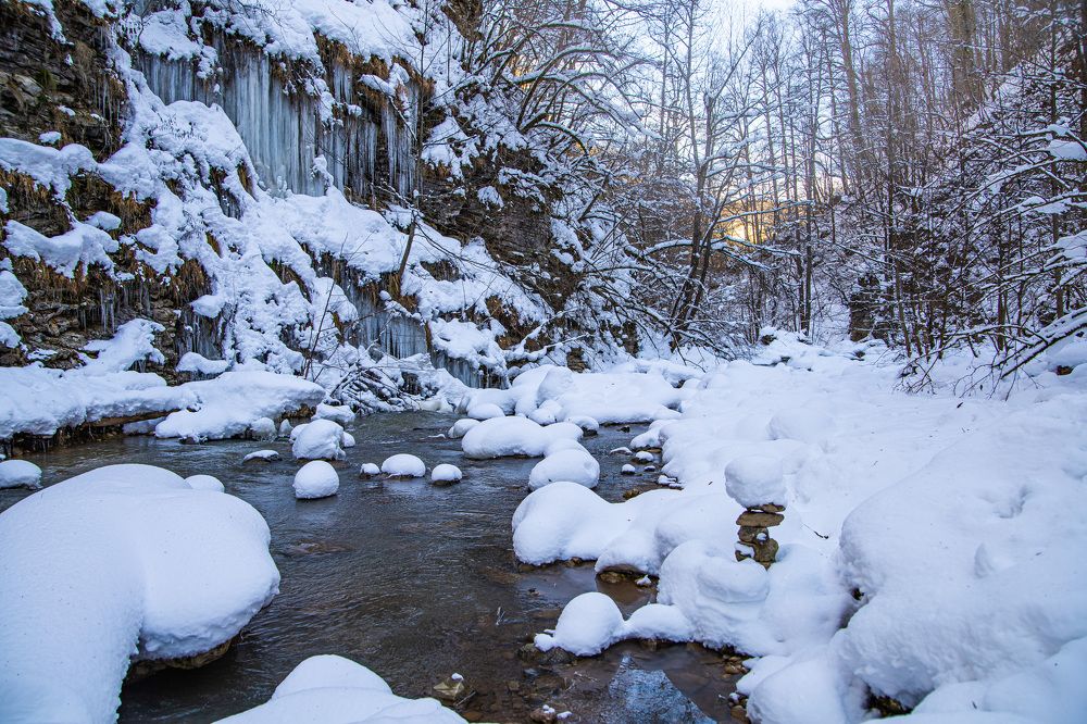 Photograph by Светлана Чужданова