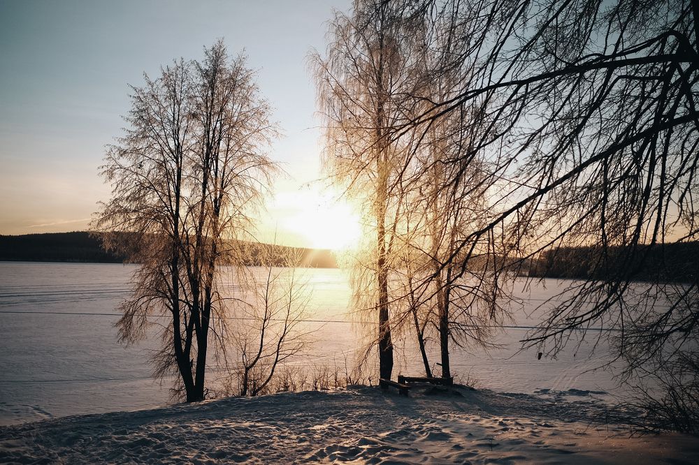 Photograph by Юлия Балдина