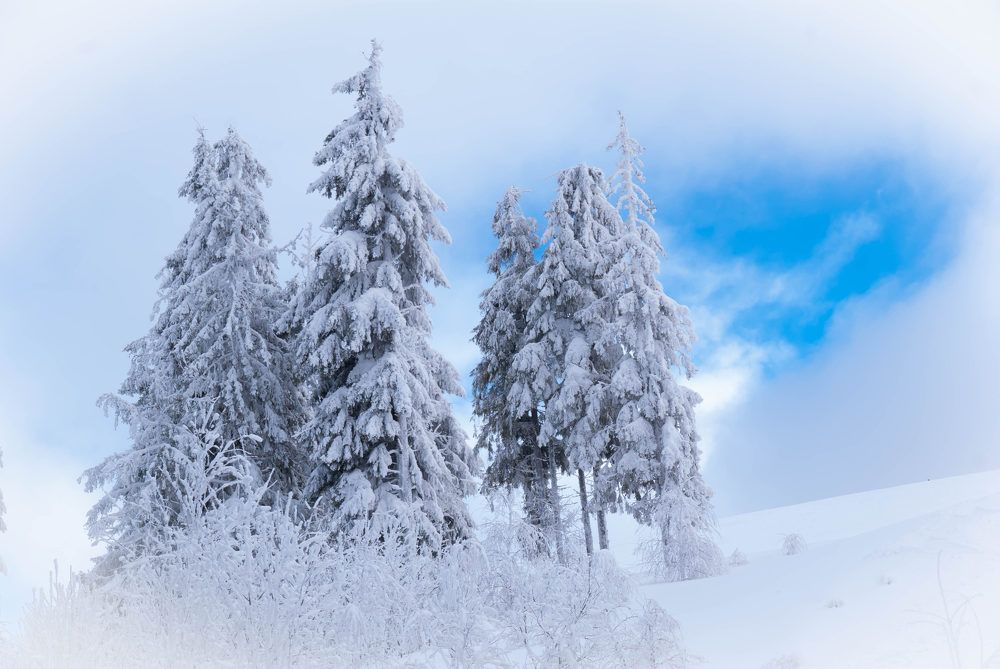 Photograph by Диана Бородзе