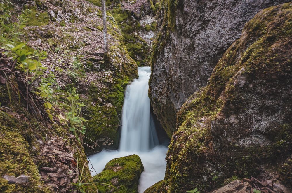 Photograph by Яна Иньская