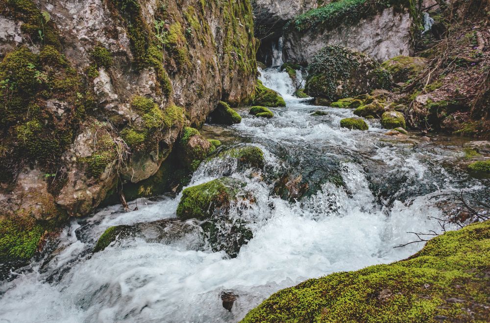 Photograph by Яна Иньская