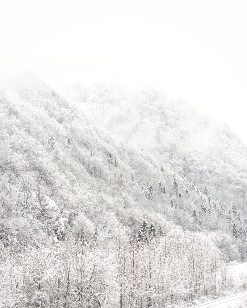 Photograph by Filip Betko