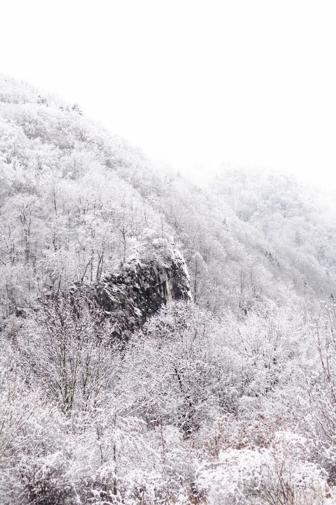 Photograph by Filip Betko