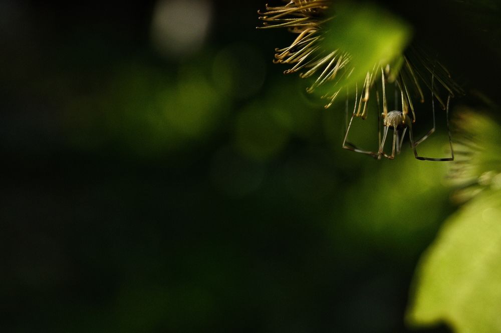 Photograph by Filip Betko