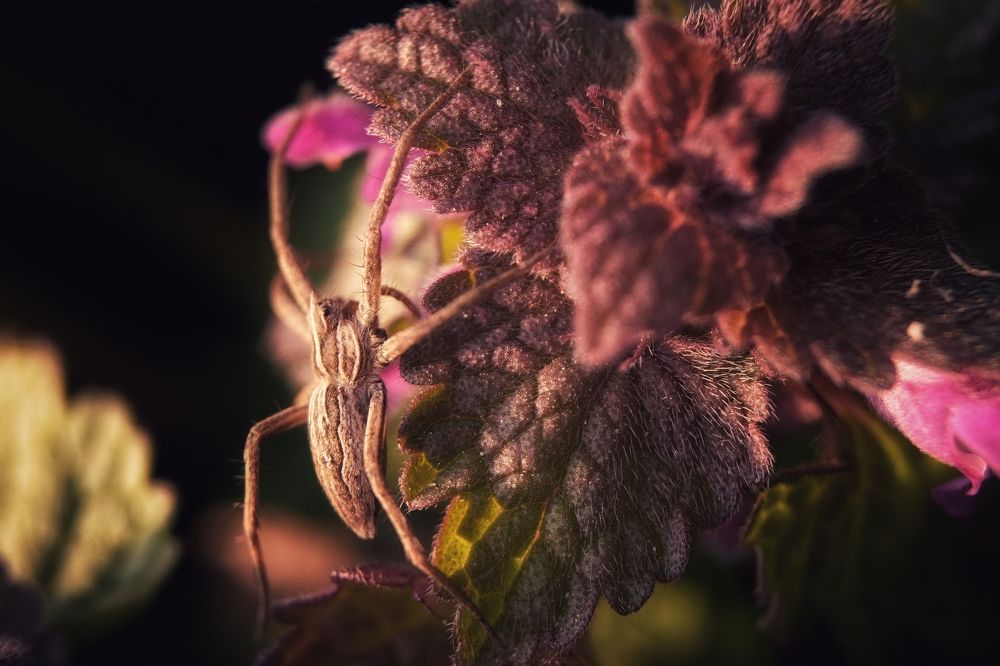 Photograph by Filip Betko