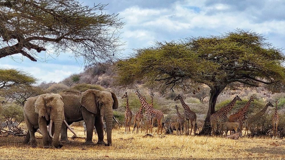 Photograph by Tatyana