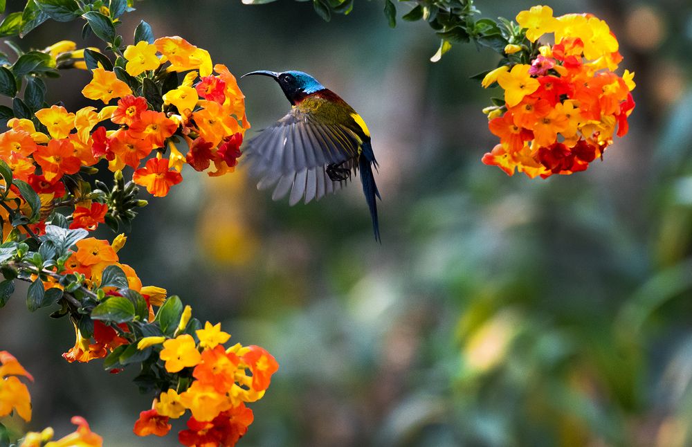 Photograph by Kakali Mukherjee