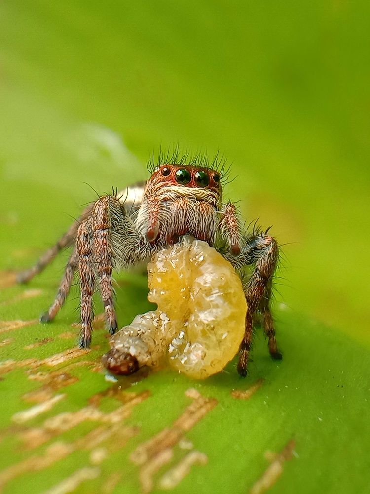 Photograph by Subhajit Jana