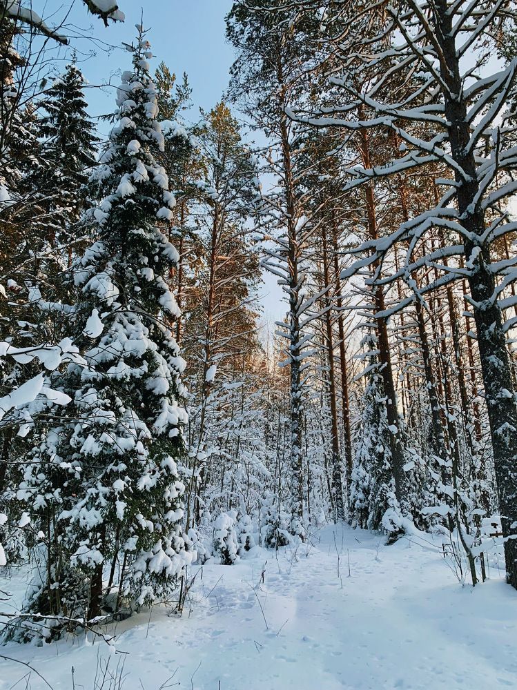 Photograph by Мария