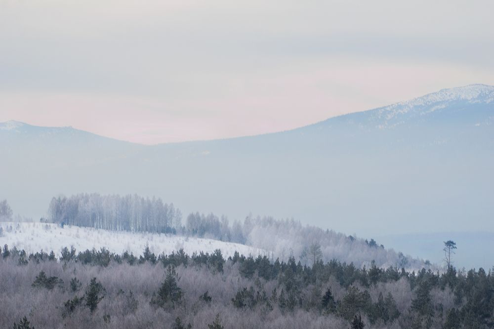 Фотография автора Елена Самофалова
