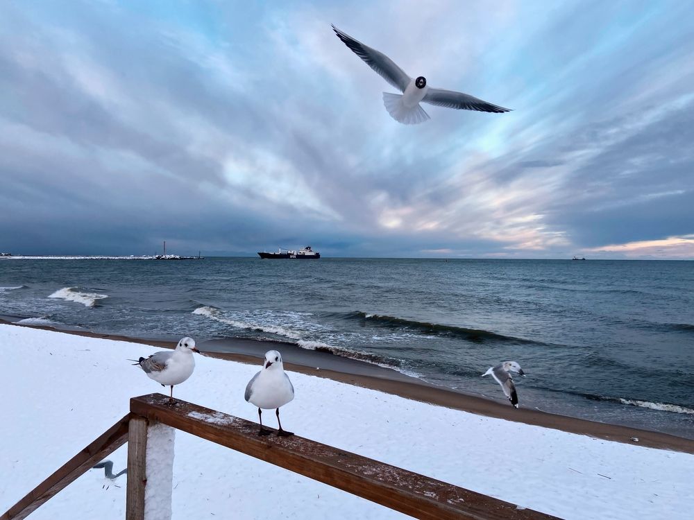 Photograph by Galina Baranovskaja